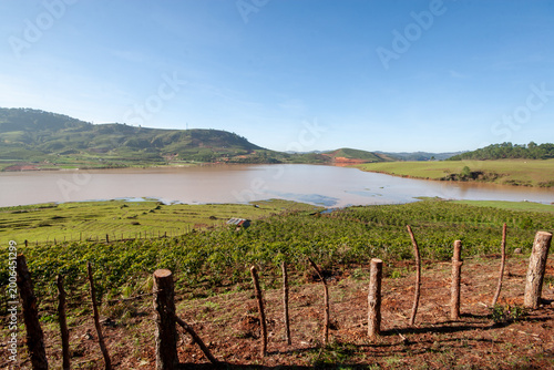 Принти на полотні The natural scenery of Da Lat, sunlight shining through the thin mist at the foo