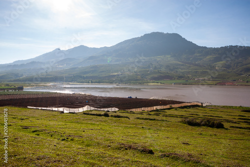 Canvas Print The natural scenery of Da Lat, sunlight shining through the thin mist at the foo