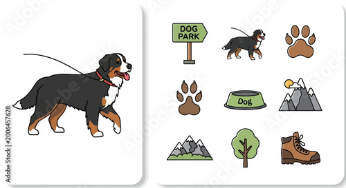 Fotografía Bernese Mountain Dog Walking on Leash with Dog Park Icons Set