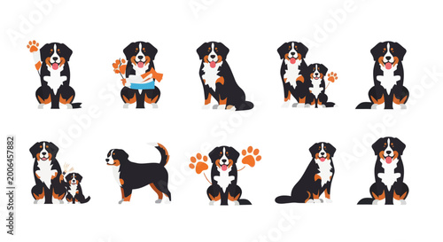 Foto Bernese Mountain Dog Poses: Cute Cartoon Illustrations Set