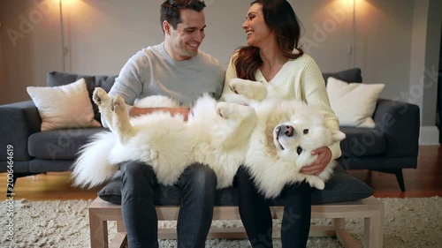 Enchanting afternoon bonding with a fluffy white dog, a loving couple finds serene joy in their modern living room oasis