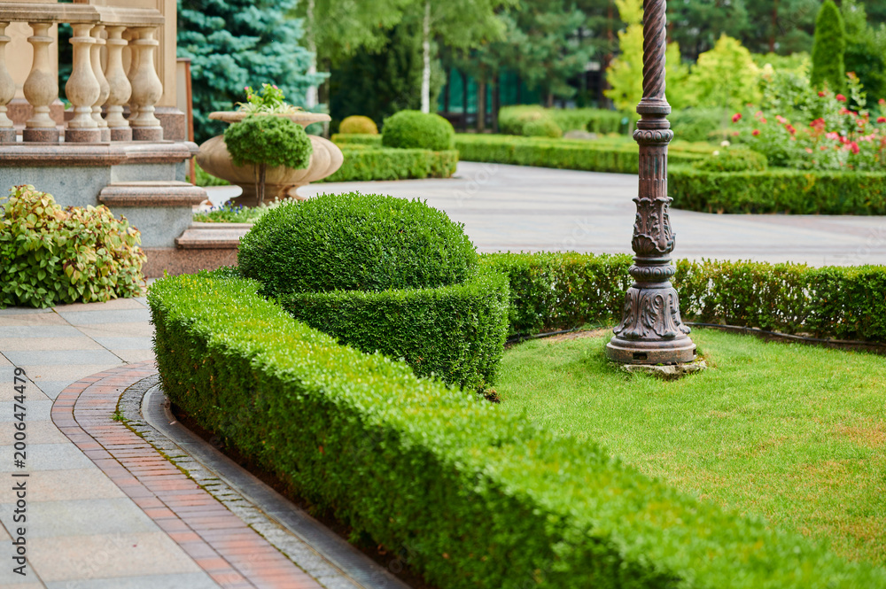 Fototapeta premium Lush green garden with neatly trimmed hedges and elegant stone paths at midday