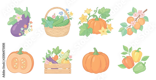 Vector set of garden crops and vegetables. Includes eggplant, cucumbers, pumpkin, vegetable box, and peppers. For farmer's markets, cookbooks, packaging, and prints.