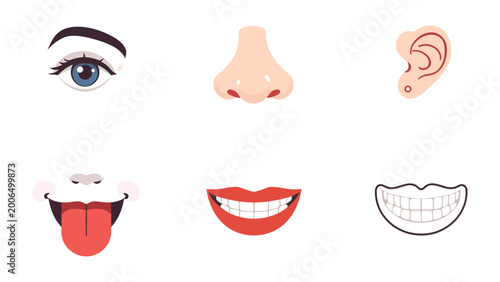 Foto Senses: A graphic collection of human face elements, showing the eye, nose, ear, mouth, and tongue