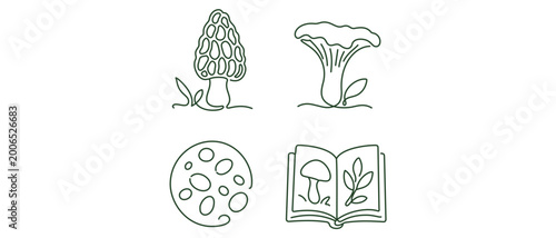 Botany of Fungi Vector Icon Set with Editable Stroke: Collection of 4 Icons Featuring Morel Mushroom, Chanterelle, Spores, and Mycology Field Guide for Science, Nature, and Biology Research.