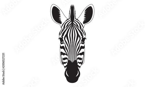 A detailed black and white illustration of a zebra's face from a front-facing perspective, showing its unique stripe patterns.