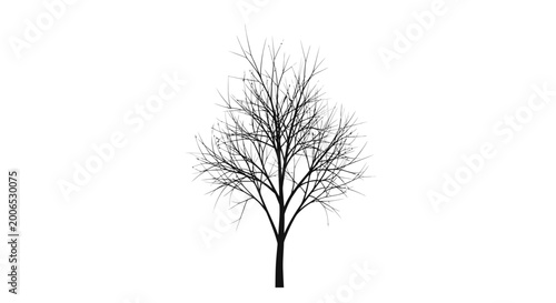 Konstfotografi Leafless Tree in Winter Season.
