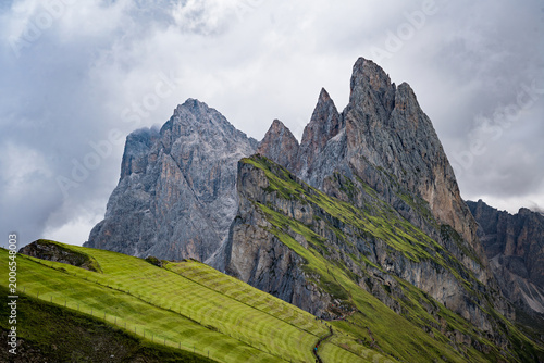 Seceda, Dolomites, Italy—lush green alpine ridge in South Tyrol under overcast sky. Scenic mountain landscape in the Alps, popular hiking and travel destination in Europe.