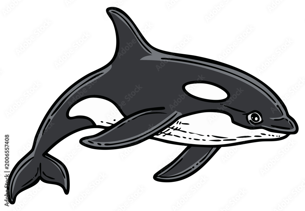 Obraz premium Stylized Killer Whale Orca Swimming Underwater Ocean Life Marine Mammal Illustration
