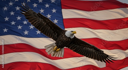 Bald eagle flying in front of american flag with stars and stripes
