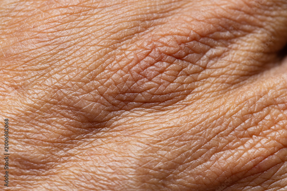 Fototapeta premium Extreme Macro Texture of Human Skin Surface,High-detail macro shot showing the complex texture, High-detail macro shot showing the complex texture, pores, and natural patterns of human skin, highlight