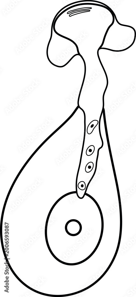 Fototapeta premium Coloring page with germinating pollen ghrain isolated 