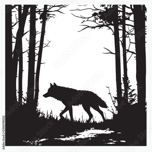 Photography wolf in the forest