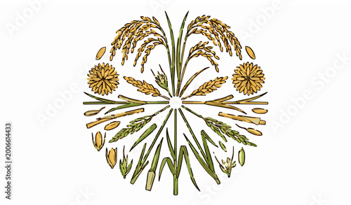 Photos Rice panicle vector illustrations in circular layout with realistic oryza sativa