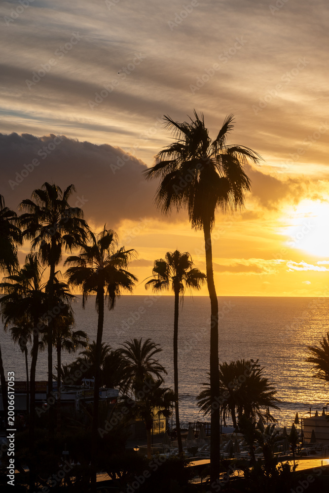 Obraz premium Sunset view on ocean, silhouettes of palm trees, swimming pool in Costa Adeje, Tenerife, Spain