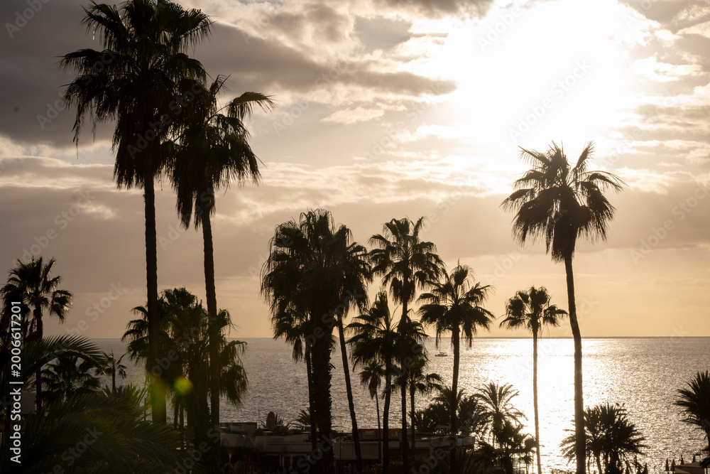 Obraz premium Sunset view on ocean, silhouettes of palm trees, swimming pool in Costa Adeje, Tenerife, Spain