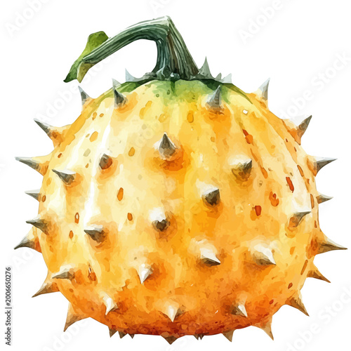 Bild auf Leinwand watercolor of Horned Melon, hand-drawn, isolated on a white background