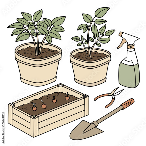 Bilde på lerret Collection of gardening elements including potted indoor plants a wooden planter