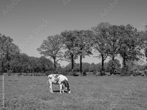 Frühling im Achterhoek in den Niederlanden