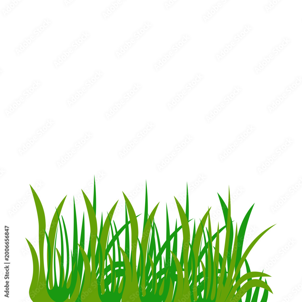 Fototapeta premium Nature Grass Decoration