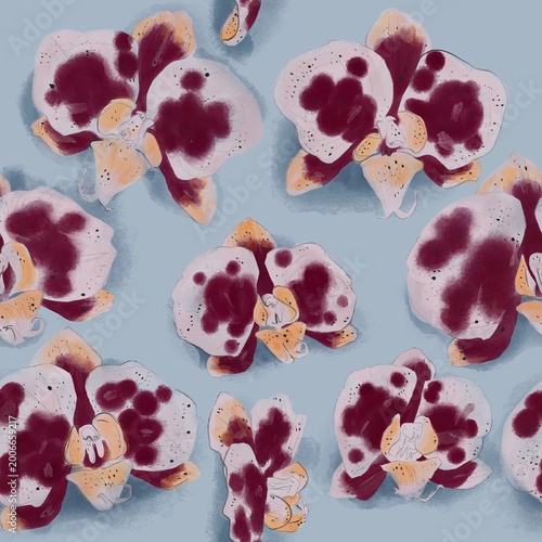Tableau sur toile Patrón continuo de orquídeas phalaenopsis en ilustración botánica