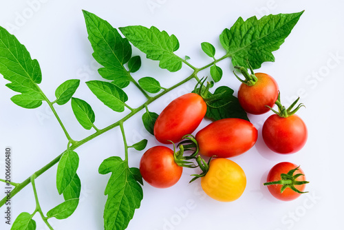 Cherry Tomatoes with Leaves on White Background Fresh Summer Food