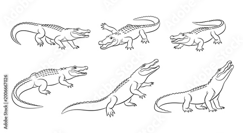 Crocodile illustration set, hand drawn wild reptile collection