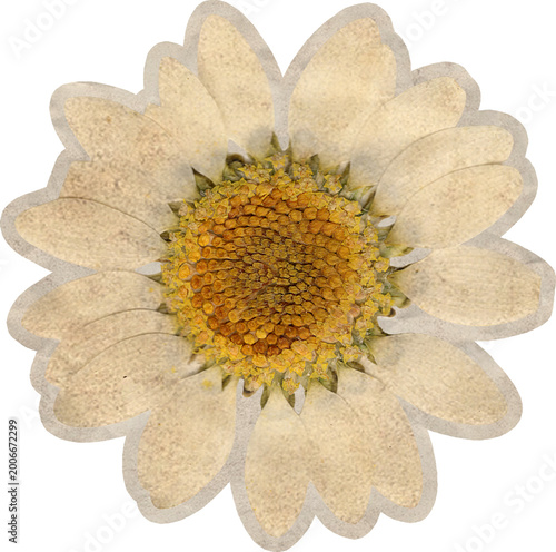 Cuadro en lienzo Ivory Marguerite Paper Sticker Scrapbook