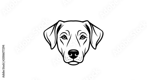 A black and white drawing of a dog's face