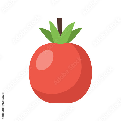 A vibrant red juicy cartoon tomato.
