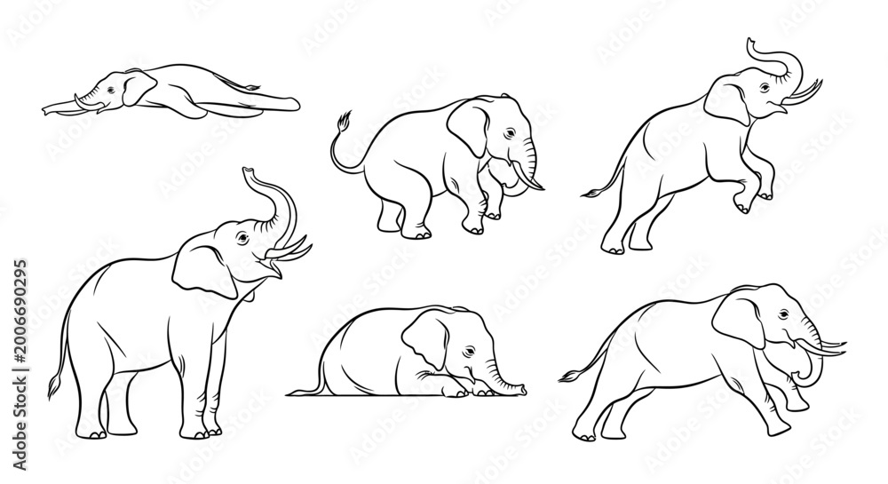Fototapeta premium Elephant line art set, diverse poses of wild African animals