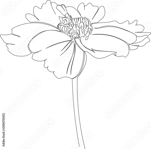 Continuous One Line Drawing of Coreopsis Flower eps10