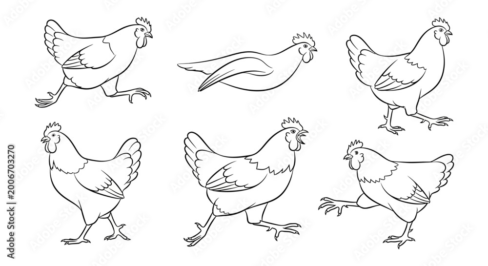 Fototapeta premium Chicken set, hand drawn line art illustration of farm birds