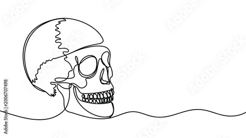 Human skull side profile drawing in continuous one line art aesthetic.