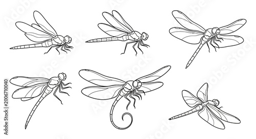 Dragonfly set, hand drawn black and white insect illustrations