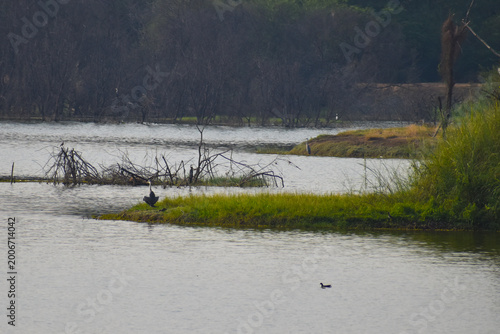 fishing on the river