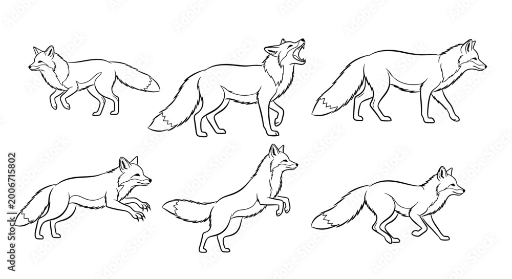 Fototapeta premium Foxes Sketches, Hand Drawn Line Art Animal Poses Set