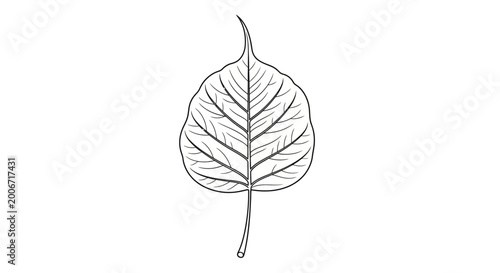 Canvastavla Detailed drawing of a single leaf.