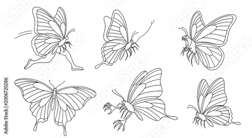 Butterfly illustrations set, hand-drawn insect collection for design