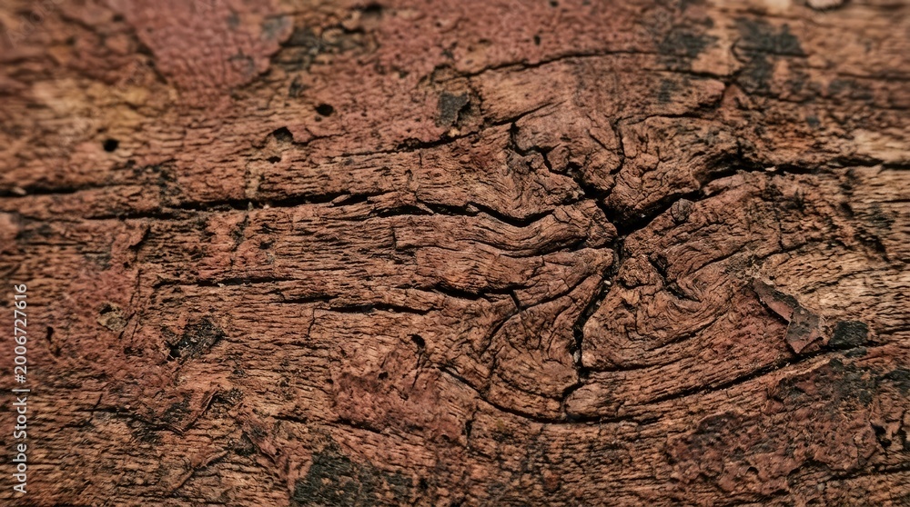 Fototapeta premium Close-up of aged textured wooden surface with deep cracks
