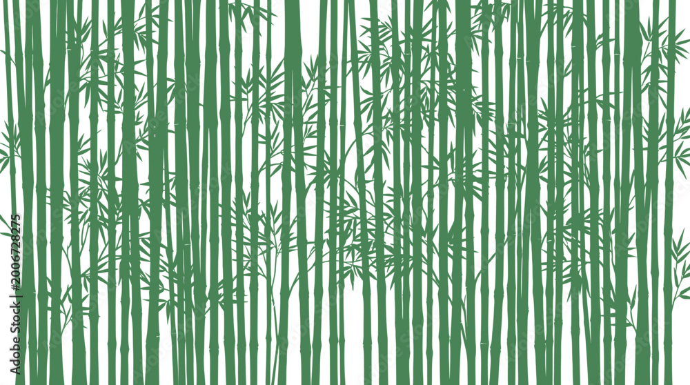 Fototapeta premium Bamboo Stems and Leaves Closeup.