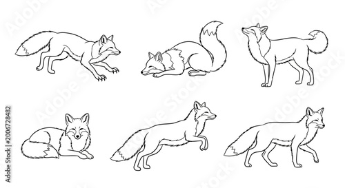 Fox set, hand drawn black and white line art vector illustration