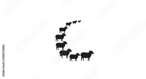 Vászonkép Group of sheep walking together.