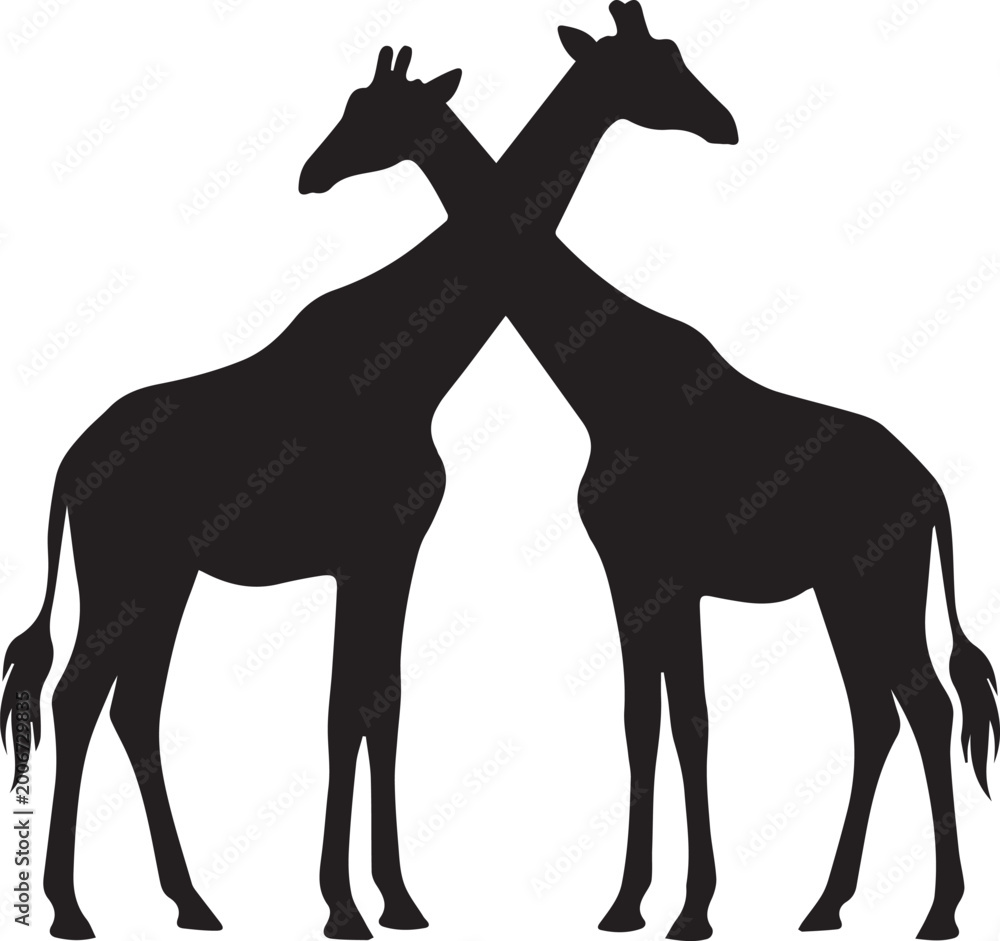 Fototapeta premium Drinking Giraffe Silhouettes Bending Down Flat