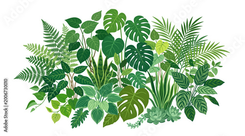 Tropical leaves and foliage plants.