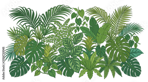 Tropical leaves in various green shades.