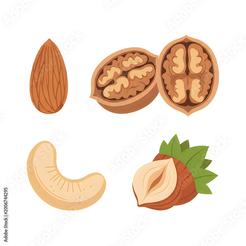 Set of fresh raw nuts including almond walnut cashew and hazelnut