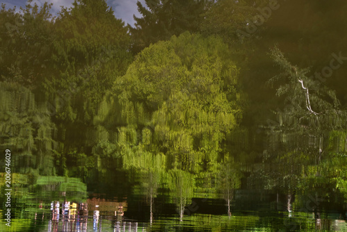 Reflection of green trees in a pond in Seattle
