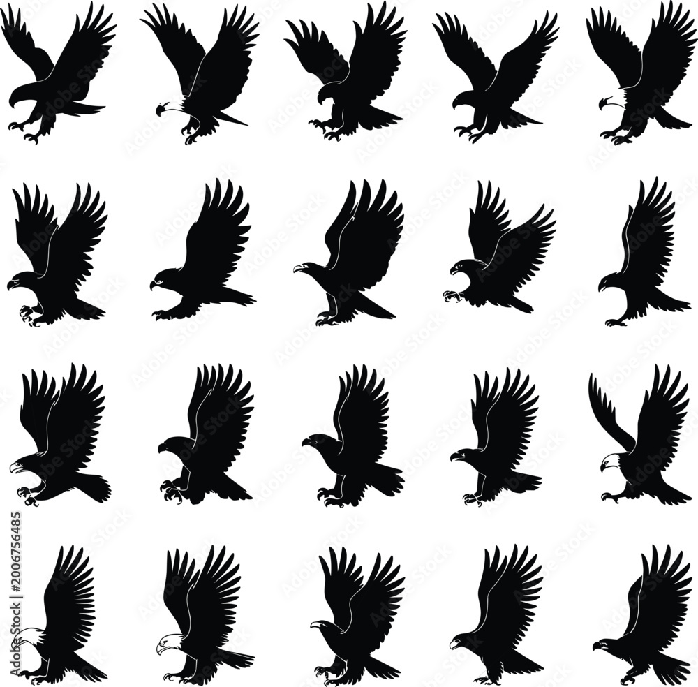 Fototapeta premium Eagle Silhouette Sequence Flying and Landing Poses Isolated on White Background