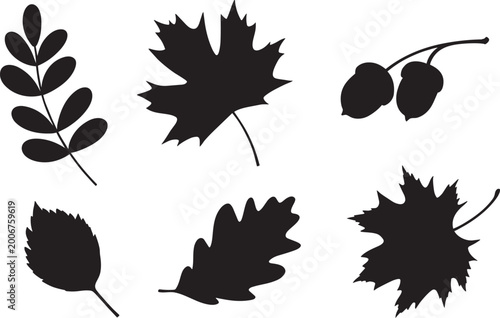 Minimalist tree leaf silhouettes and acorns for nature and eco design